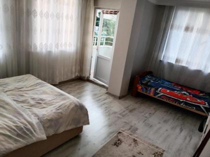 Villa room in the airport in the forest - image 19