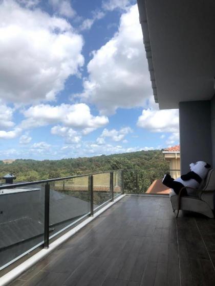 Villa room in the airport in the forest - image 25