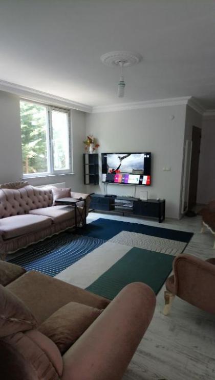 Villa room in the airport in the forest - image 3