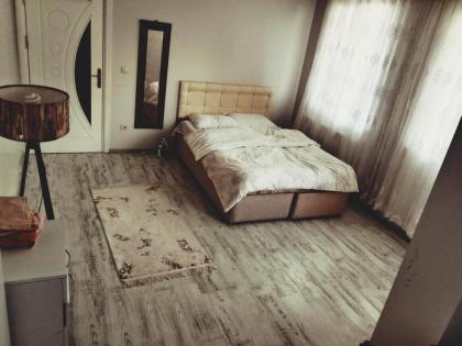 Villa room in the airport in the forest - image 8