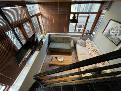 Tarihi Galata Home - image 2