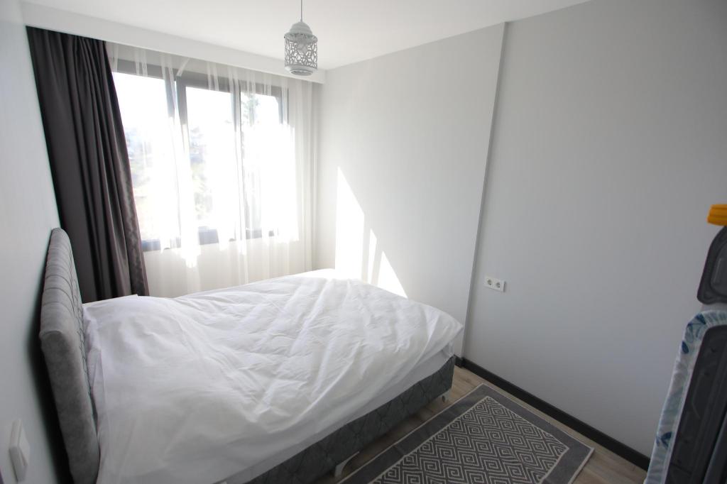 Exclusive Sky Park Suite - image 6