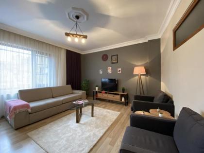 Stylish Flat near Pera Museum in Beyoglu