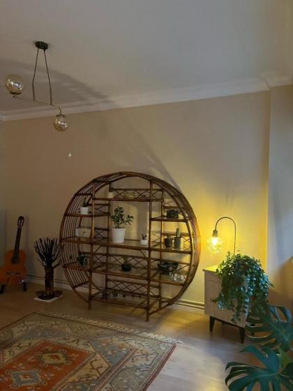 Old and new designed style - image 11