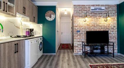 Vibrant Flat near Kennedy Avenue in Fatih - image 20