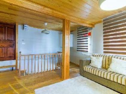 Historical Duplex Villa with Patio in Beyoglu - image 11