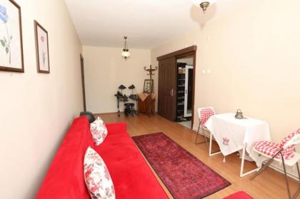 Flat with Two Living Rooms and Balcony in Uskudar - image 29