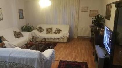 Comfortable Layover from 12 mins Istanbul Airport. - image 8