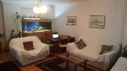 Comfortable Layover from 12 mins Istanbul Airport. - image 9