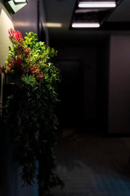 BRANDROOM HOTEL - image 28