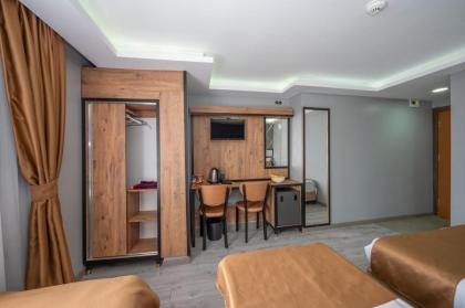 Boutique Dedem Hotel Sultanahmet - image 21