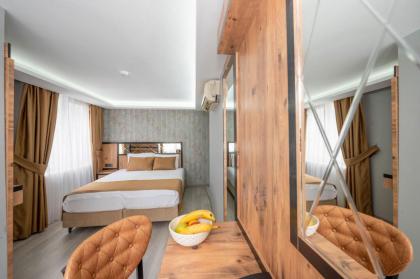 Boutique Dedem Hotel Sultanahmet - image 28