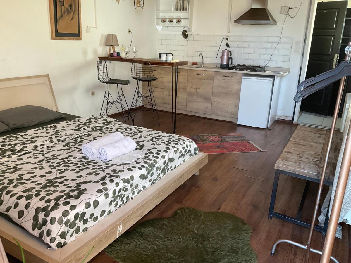 Gaia Art Hostel Hotel - image 7