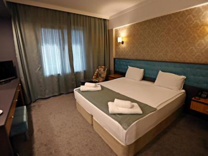 Continenius Airport Hotel - image 17