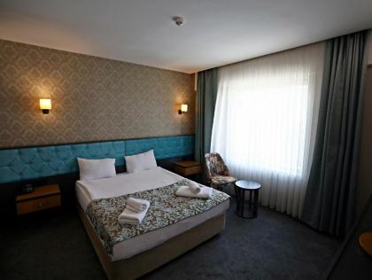 Continenius Airport Hotel - image 19