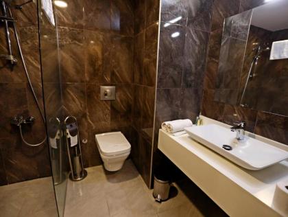 Continenius Airport Hotel - image 22