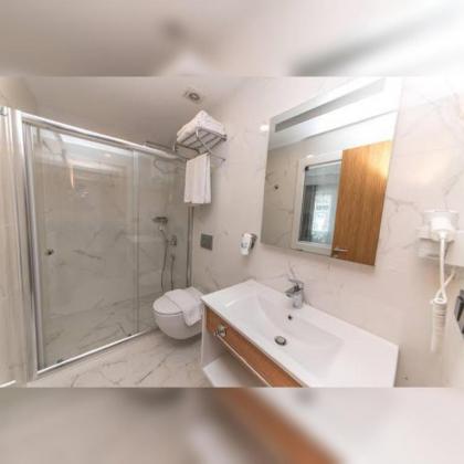 Continenius Airport Hotel - image 8