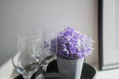 Stylish Duplex House With A Special Terrace INNV34002 - image 21