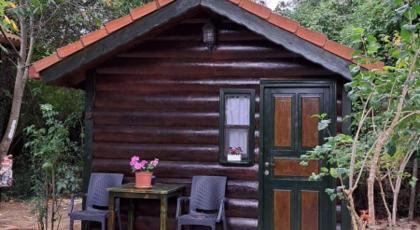 Tartaruga Motel Agva - image 25