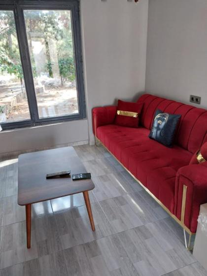 ZEMAHOTEL - image 13