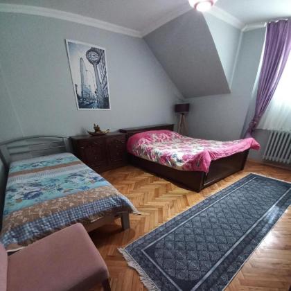 Grand appartement 21 - image 16