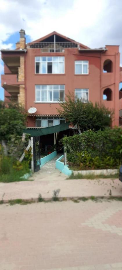 DENİZ YILDIZI - image 21