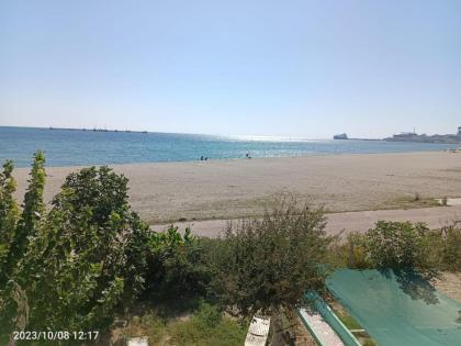 DENİZ YILDIZI - image 27