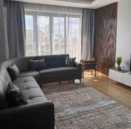 Luxury residential flat in Istanbul 