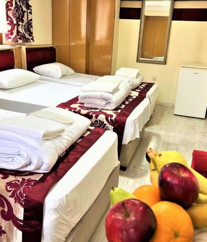 Viva Hotel Laleli - image 10