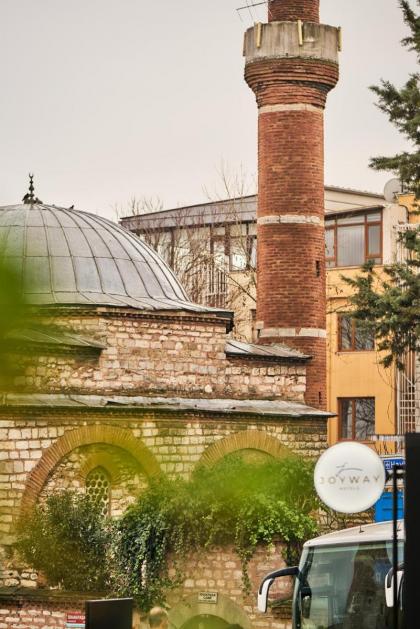 Joyway Hotels Istanbul Sultanahmet - image 9