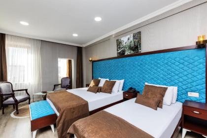 Astro Vefa Hotel - image 10