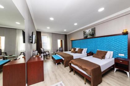 Astro Vefa Hotel - image 11
