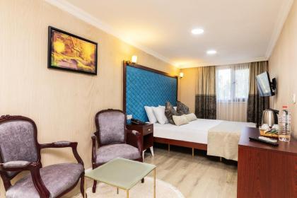 Astro Vefa Hotel - image 12