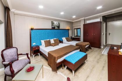 Astro Vefa Hotel - image 14
