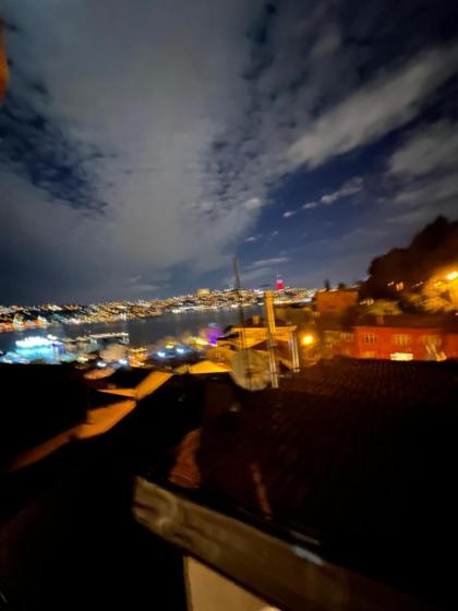 Lux sea view willas - image 24