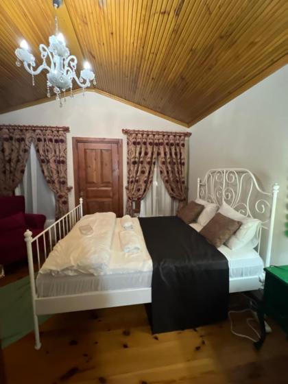 Lux sea view willas - image 26