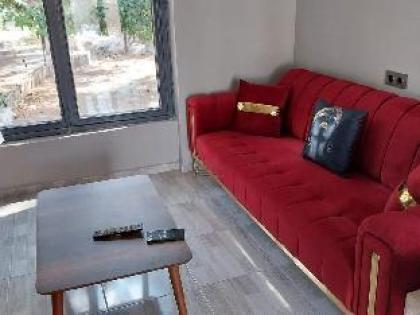Zema Hotel - image 8