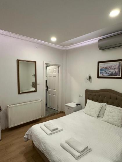 OLD iSTANBUL HOUSE HOTEL - image 5